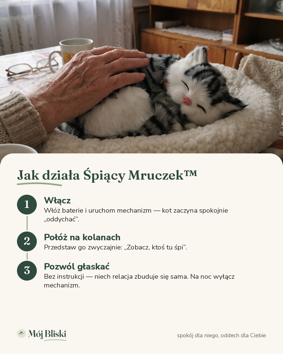 Śpiący Mruczek – jak działa