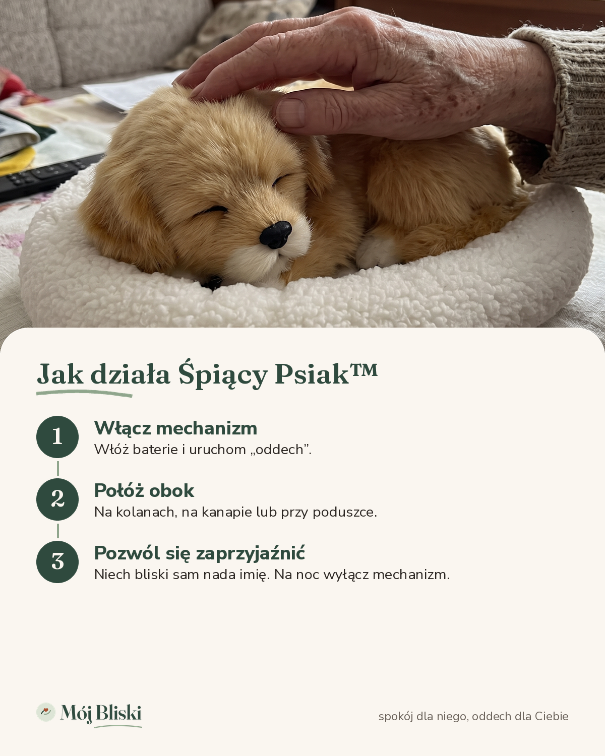 Śpiący Psiak – jak działa
