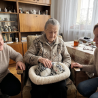 Śpiący Mruczek w codziennym użyciu w domu